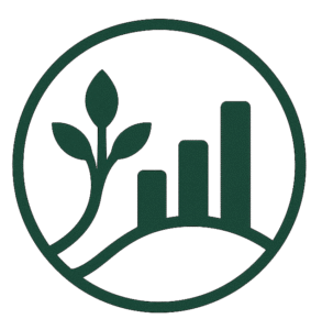 theholisticaccountant