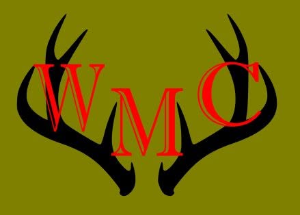 Wet Mountain Coatings
